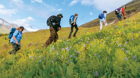 A Circumnavigation of Iceland